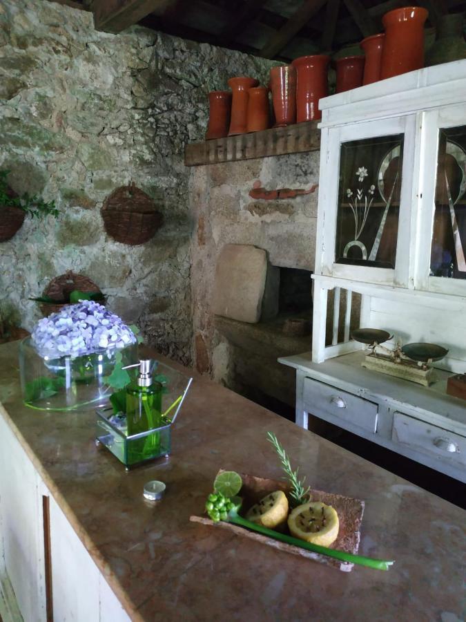 Casa D'Aldeia De Souto De Lafoes Guest House Oliveira de Frades Bagian luar foto